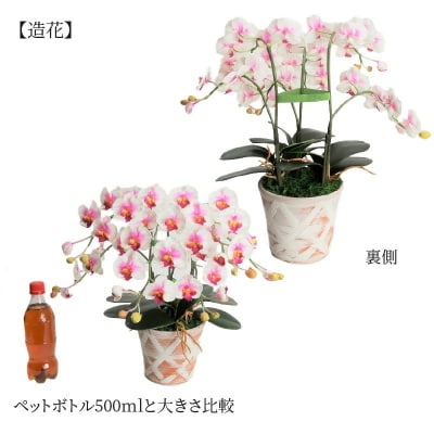 綺麗で丈夫な三河陶器で贈る光触媒胡蝶蘭小輪3本立(赤白の陶器×白桃色の花)　H100-086