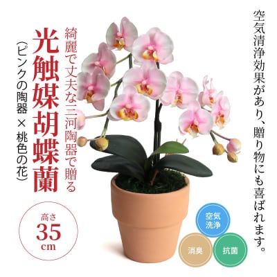 綺麗で丈夫な三河陶器で贈る光触媒胡蝶蘭小輪1本立(ピンクの陶器×桃色の花)H100-080