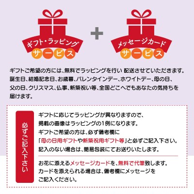 胡蝶蘭 白 3本立　36輪以上　H042-012