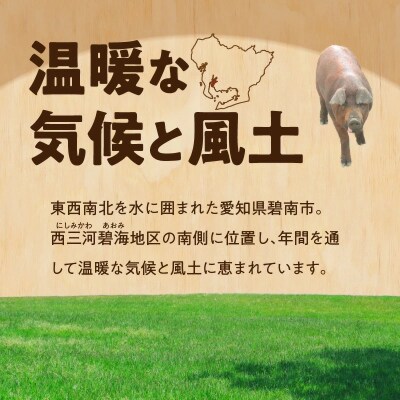 “三州あおみ豚” 豚カツ用セット 計700g(ロース肉480g&ヒレカツ用220g)H030-015