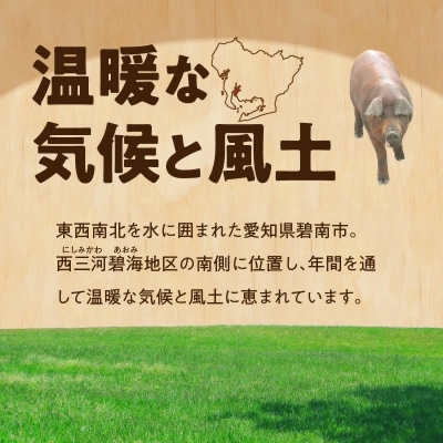 “三州あおみ豚” ブロック肉セット 計2kg(ロース肉&豚バラ)  H030-013