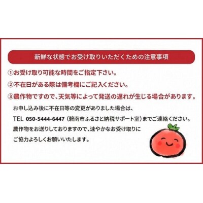 1月～6月毎月発送　まるでトマトの宝石箱!ジュエリートマトの定期便　6回コース　H004-170