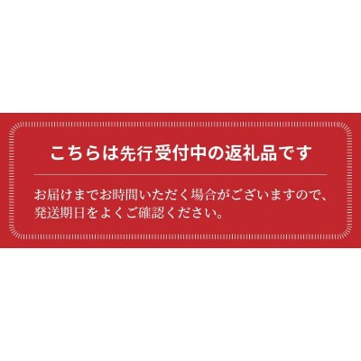 1月～6月毎月発送　プレミアムフルーツトマトの定期便6回コース　H004-171