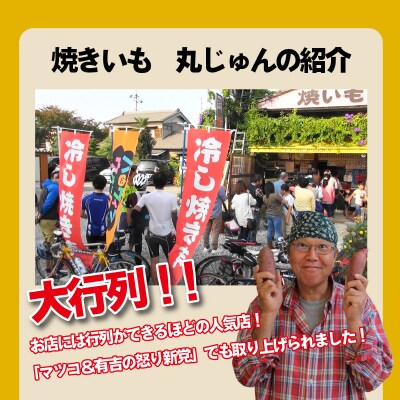 【全3回】毎月お届け 冷やし焼き芋3種食べ比べセット 約1kg 定期便 H047-036