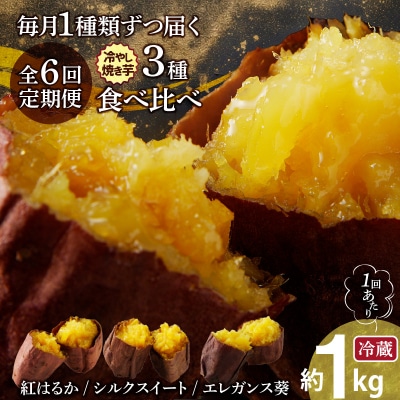 【全6回】毎月1種類ずつ届く 冷やし焼き芋定期便 約1kg×6回(計3種)芋スイーツH047-039