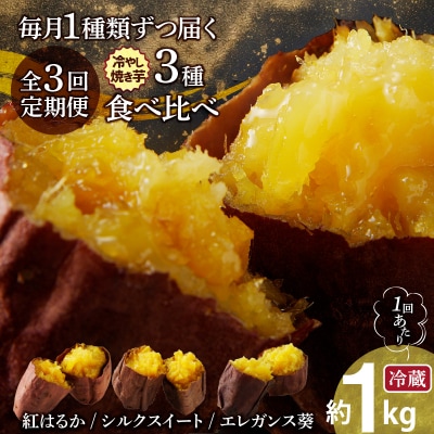 【全3回】毎月1種類ずつ届く 冷やし焼き芋定期便 約1kg×3回(計3種)芋スイーツH047-038