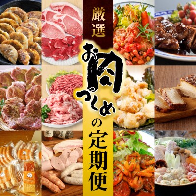 【全12回】厳選!お肉づくめの定期便　H028-069