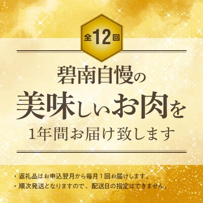 【全12回】厳選!お肉づくめの定期便　H028-069