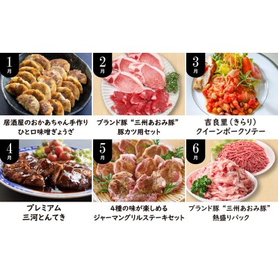 【全12回】厳選!お肉づくめの定期便　H028-069