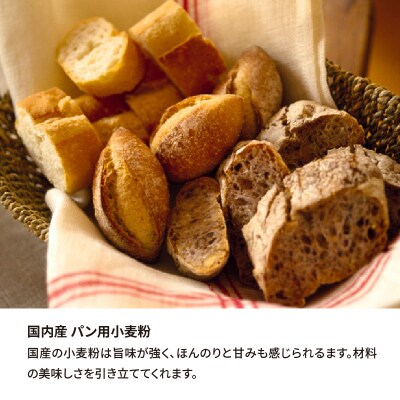 【小麦粉】国内産100% パン用 強力粉 2.5kg×4袋(計10kg) 定期便3回H008-187