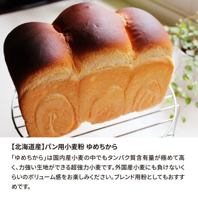【小麦粉】国産 ゆめちから パン用 強力粉 2.5kg×4袋(計10kg)　H008-176