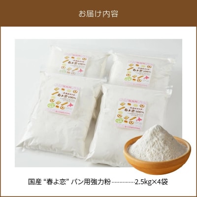 【小麦粉】国産 “春よ恋” パン用 強力粉 2.5kg×4袋(計10kg)　H008-208