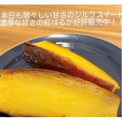 熟成焼き芋3種食べ比べ【店主お任せの蜜芋&ホクホク芋】やきいも1kg!(4～5本)