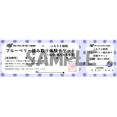 ブルーベリー摘み取り体験(1kg分)