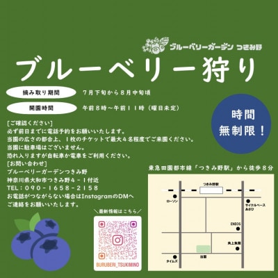 ブルーベリー摘み取り体験(1kg分)