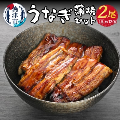うなぎ 蒲焼 セット 約120g×2尾 海鮮うなぎ専門店 銀鮮(a15-435)