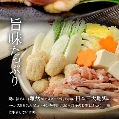 名古屋コーチン鍋セット[001T07]