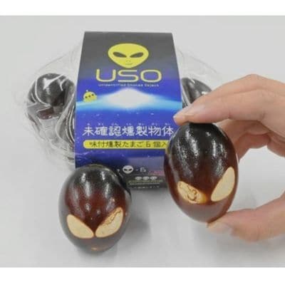 未確認燻製物体 USO(味付燻製たまご)No.2586