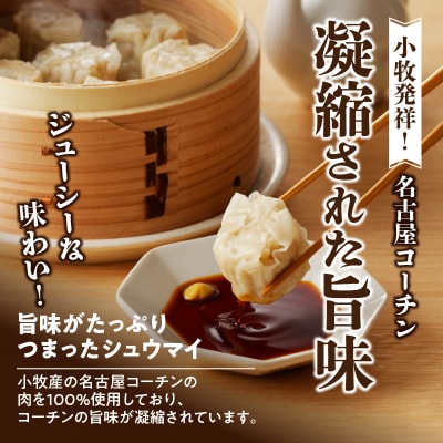 名古屋コーチン肉100%使用 シュウマイ80個(20個×4箱)[003D05]
