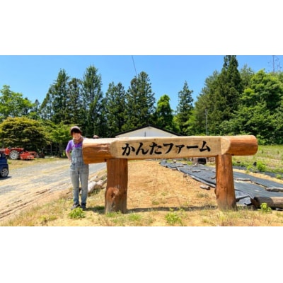 かんたファーム農園リゾートワイルドキャンプ場 ソロキャンププランNo.2138