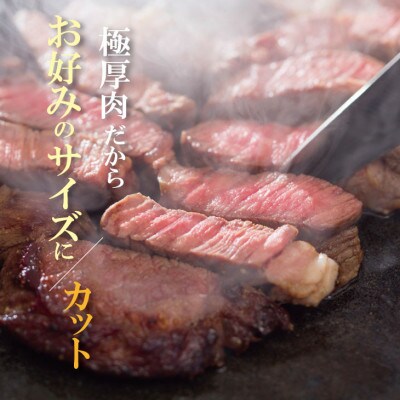 佐賀産和牛　ロースブロック肉500g
