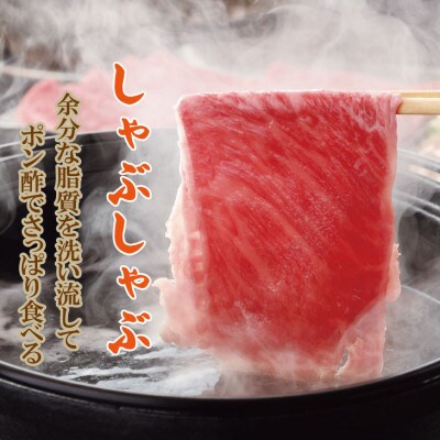 佐賀産和牛　モモスライス赤身肉500g