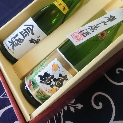 小城の銘酒2本セット(900ml×1 720ml×1)佐賀の酒