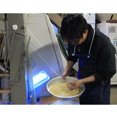 【令和5年産】佐賀ブランド米　さがびより白米5kg