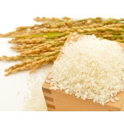 【令和5年産】佐賀ブランド米　さがびより27kg　白米