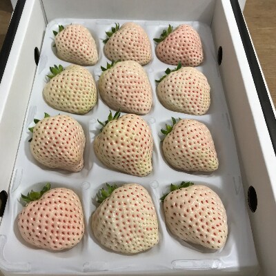 紅白いちご　恋みのり&天使のいちごセット