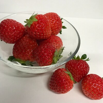 佐賀県産　真っ赤ないちご　恋みのり300g×2