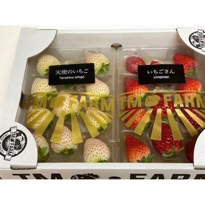 佐賀県産【赤白いちご】いちごさん&天使のいちご(R)食べ比べ　各種250g