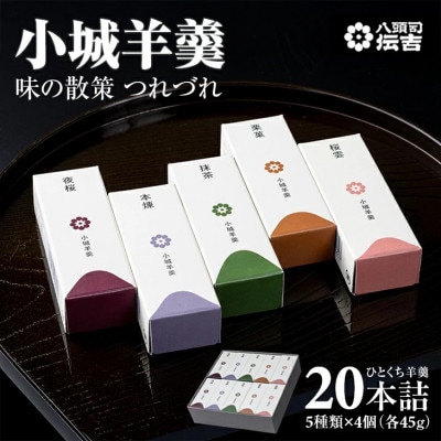 小城羊羹 つれづれ(贈答用 20本詰)