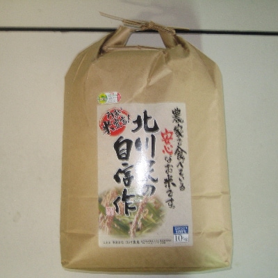 【令和5年産】佐賀ブランド米　さがびより白米10kg【特別栽培米】