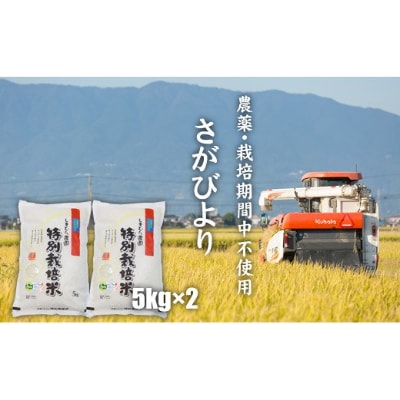 もっちりつやつや「さがびより」白米10kg【栽培期間中農薬不使用】