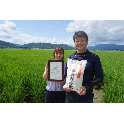 もっちりつやつや「さがびより」白米10kg【栽培期間中農薬不使用】