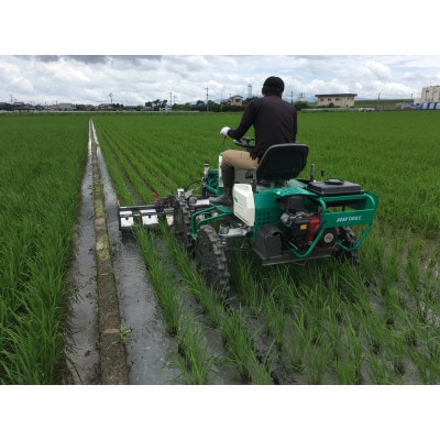 有機肥料100%栽培!旨みたっぷり佐賀県産【さがびより】10kg