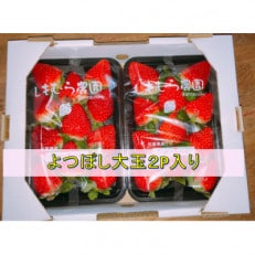 受付開始!しもむら農園のつやつやいちご【よつぼし☆☆☆☆】250g×2パック