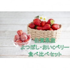 冷凍いちご食べ比べセット【おいCベリー】【よつぼし】真空パック袋500g 各1パック入り佐賀県産