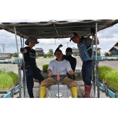 無洗米!!【栽培期間中化学肥料、農薬不使用】もっちりつやつや【さがびより】10kg佐賀県産