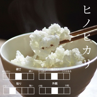 【R6年産】有機肥料100%栽培食べ比べセット!!【さがびより、ヒノヒカリ】各5kg