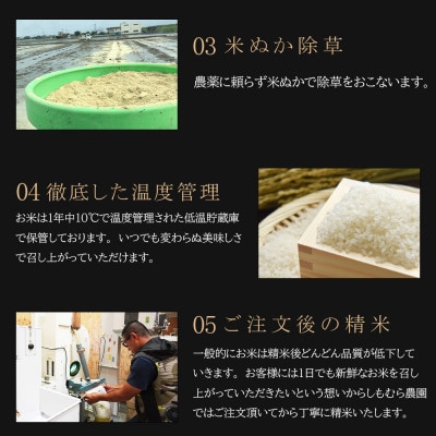 【R6年産】有機肥料100%栽培食べ比べセット!!【さがびより、ヒノヒカリ】各5kg