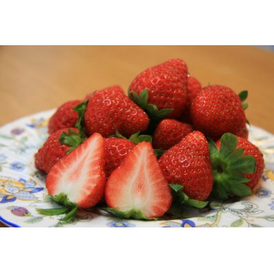 朝取り!冷凍いちご!!【よつぼし】【いちごさん】食べ比べ各500g×2パック　計2kg