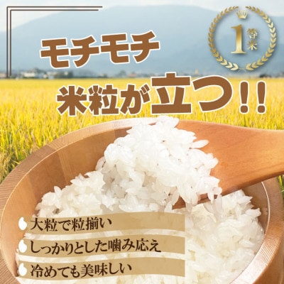 令和7年産 特別栽培米 無洗米 さがびより(10kg)【2024 お米番付「優秀賞」!佐賀県認定】