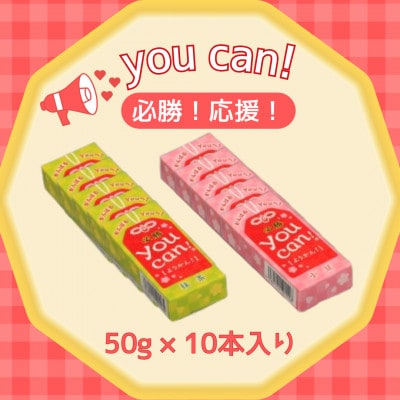 you can!ようかん10本入(小城羊羹)合格祈願!部活応援!