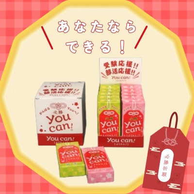 you can!ようかん10本入(小城羊羹)合格祈願!部活応援!