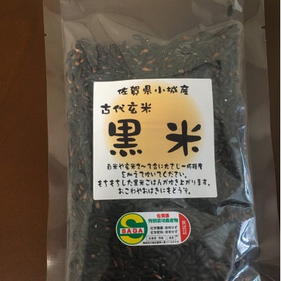 古代玄米黒米　6パックセット
