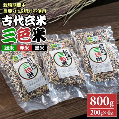 特別栽培米 古代玄米「三色米」(200g×4パック)