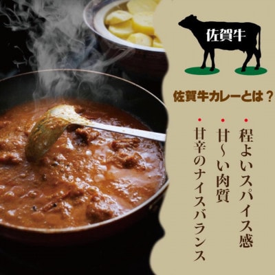 佐賀牛カレー　200g×5個(小城市)