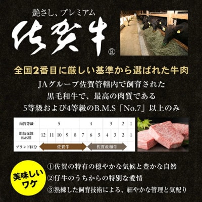 佐賀牛カレー　200g×5個(小城市)